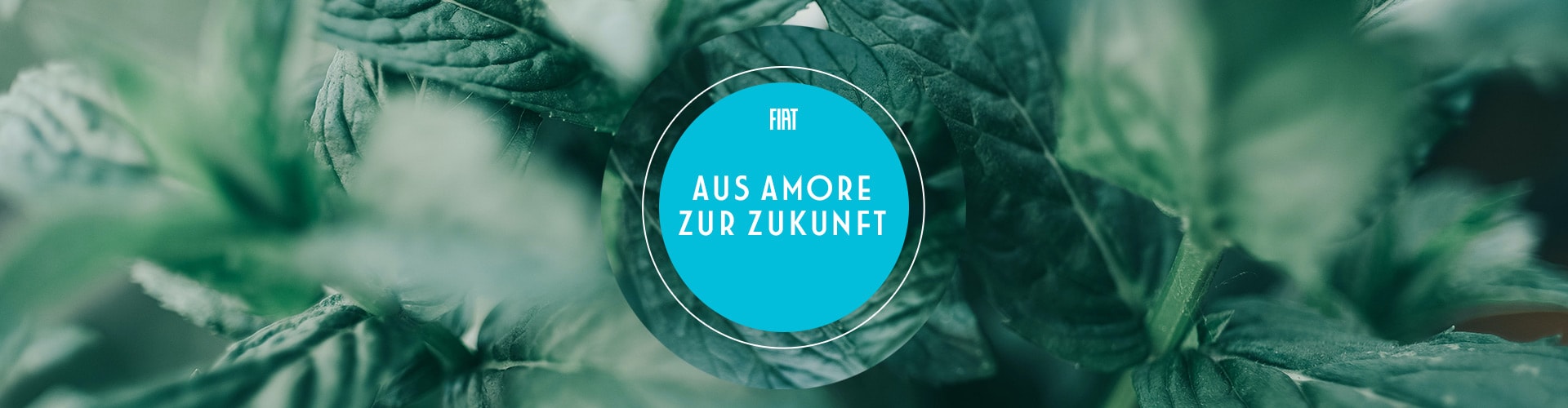 Aus Amore zur Zukunft