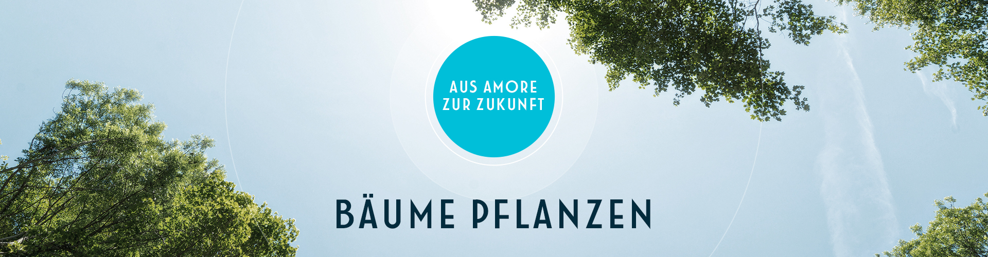 Bäume pflanzen